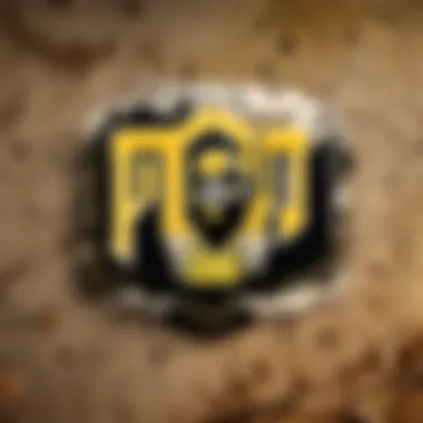 PUBG Logo Symbolism Representation