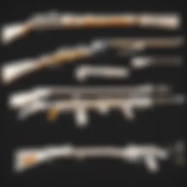 Detailed analysis of weapon arsenal