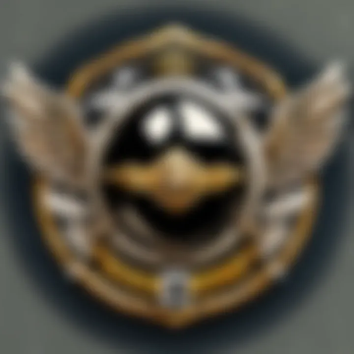 Vintage Aviator Pilot Badge Close-up